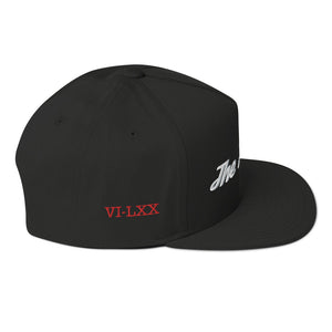 SixSeventy "The flyest" snapback