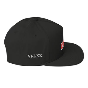 SixSeventy "Sellout" snapback